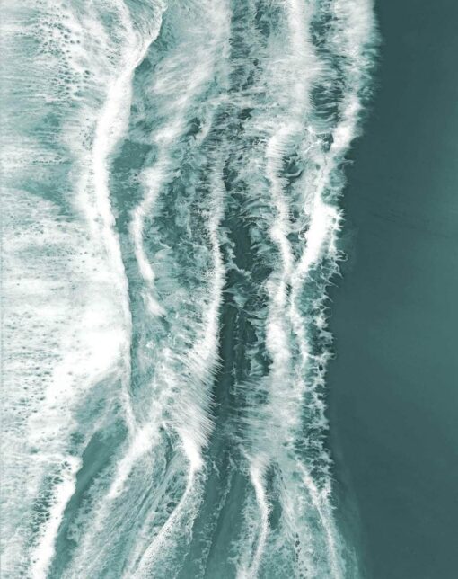 Tides of Life - Image 5