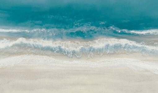 Bondi Swim III - Image 2
