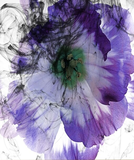 Dreaming - Image 3