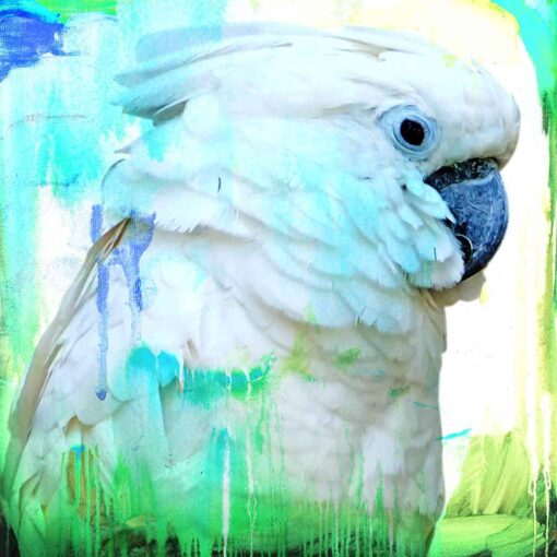 Cockatoo Painted - Image 2