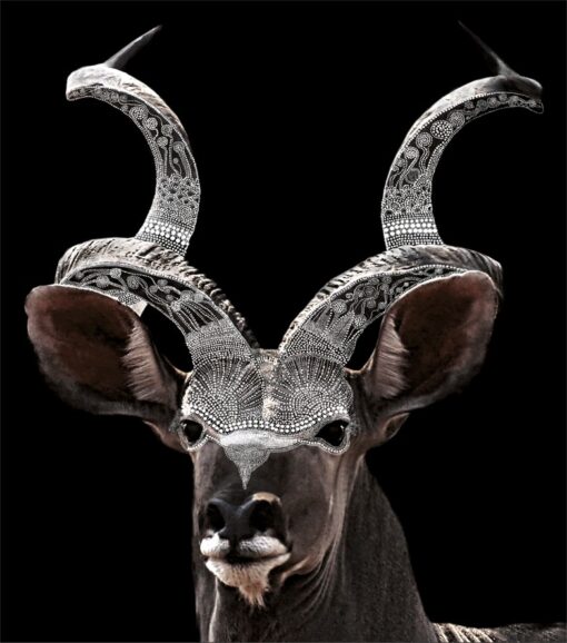 Dotted Buck - Image 2