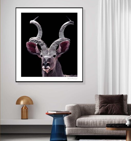 Dotted Buck
