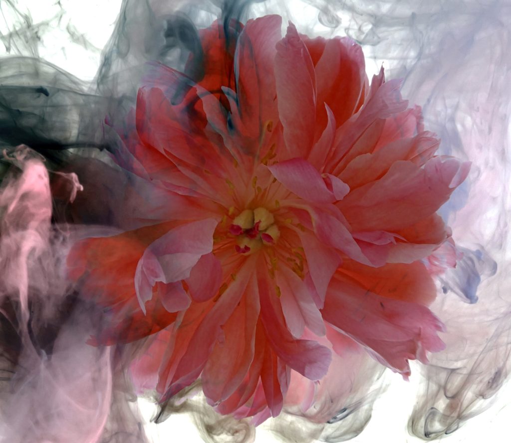 Martine Gallery
