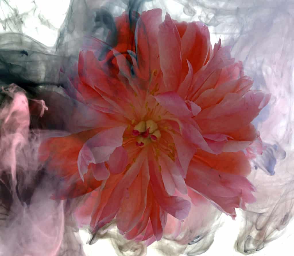 Martine Gallery