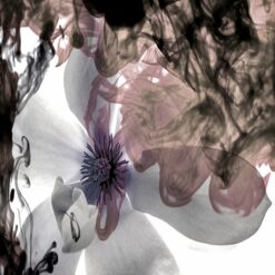 Petals Afloat