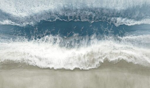 East Coast II - Image 5