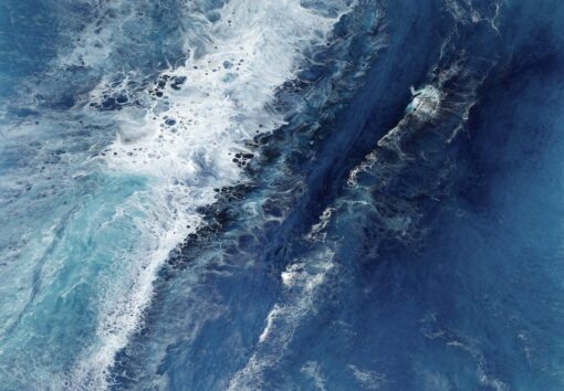 Love the Sea - Image 3