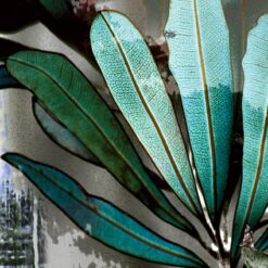 Banksia
