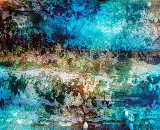Sea Bed - Image 7