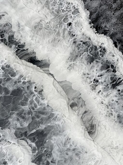 Black and White and In Between - Martine Vanderspuy - Image 4
