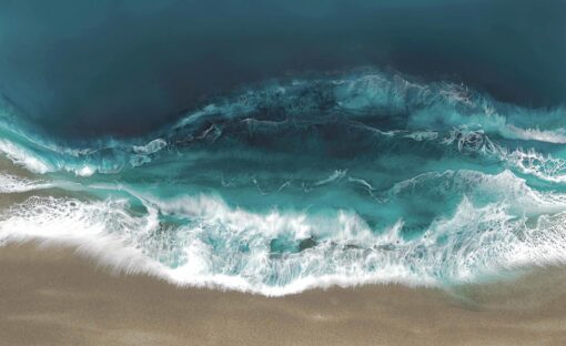 Ocean Swim - Image 6