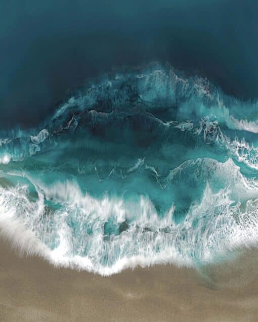 Ocean Swim - Image 7