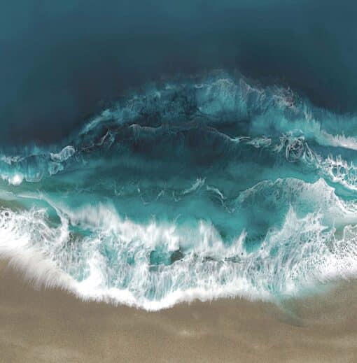 Ocean Swim - Image 5