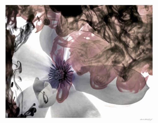 Pink in Ink - Image 2