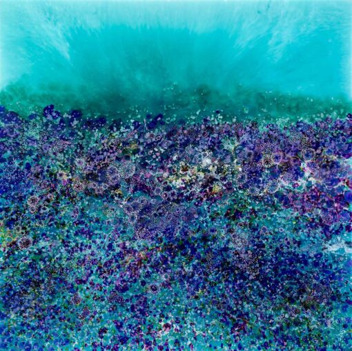 Rainbow Reef - Martine Vanderspuy - Image 5
