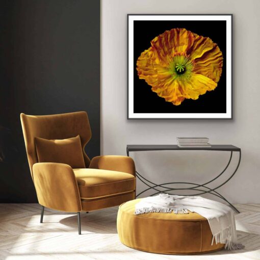 Yellow Mellow - Martine Vanderspuy - Image 3