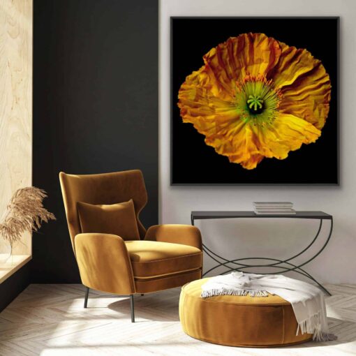 Yellow Mellow - Martine Vanderspuy - Image 4