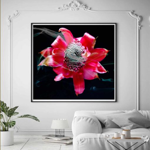 Waratah Float - Image 2