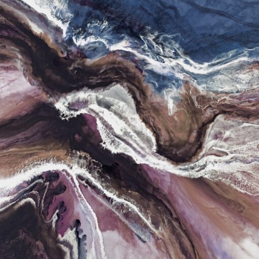 Dolphin Bay II - Image 2