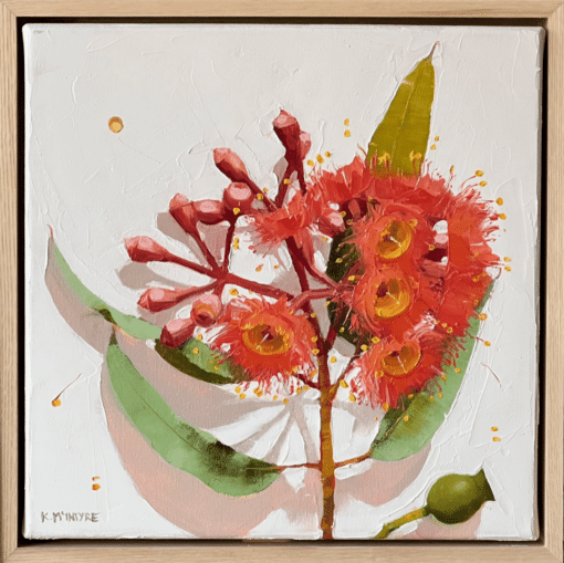 Scarlet Ficifolia - Kirsty McIntyre - Image 2