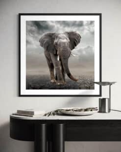Alternative view of Ellie On The Plains - Martine Vanderspuy