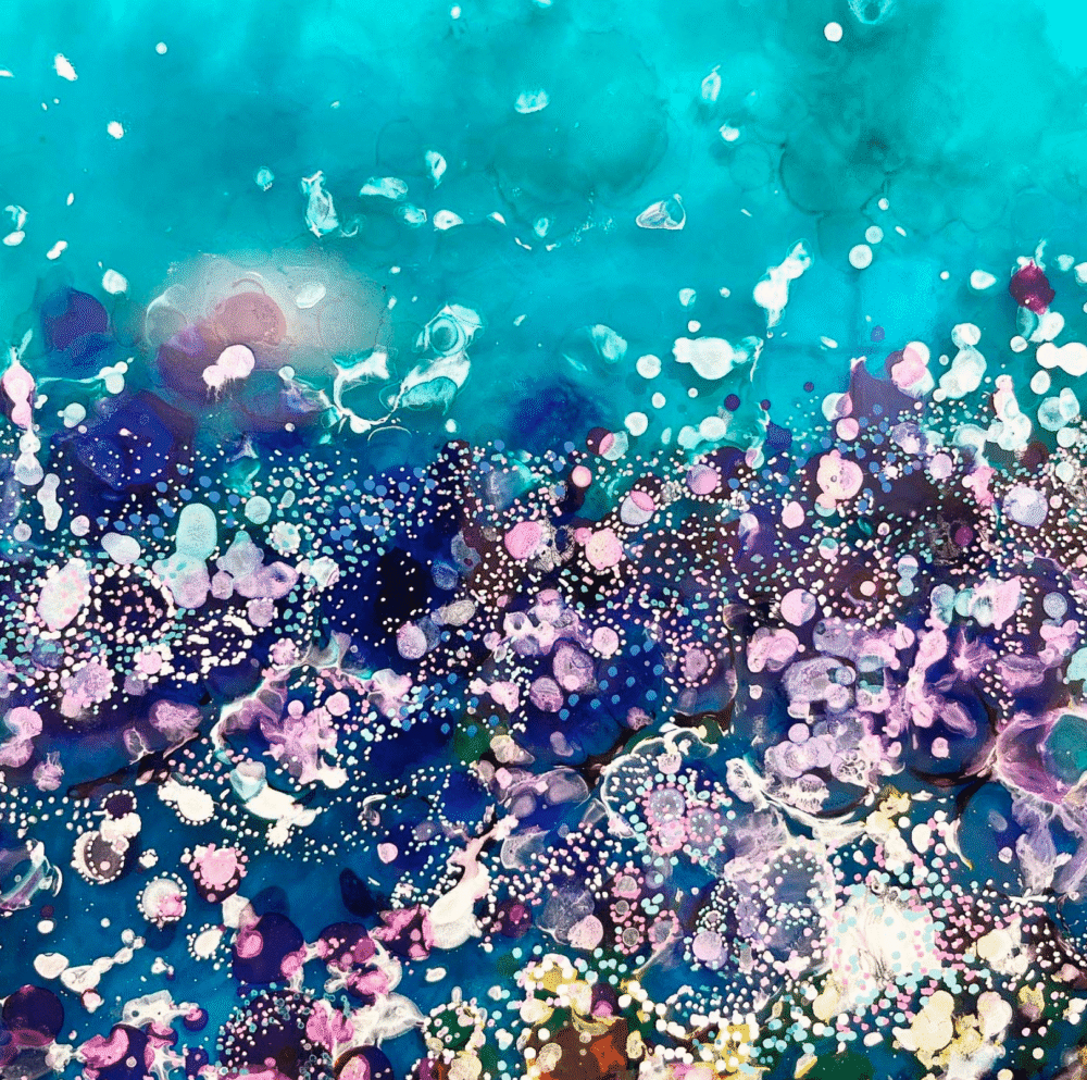 Rainbow Reef - Image 2