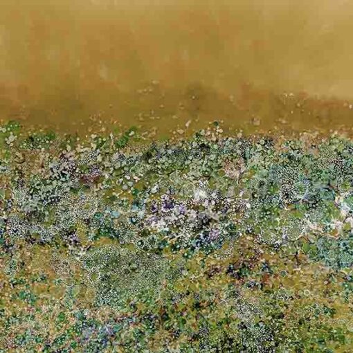 Yellow Coral Garden - Image 3