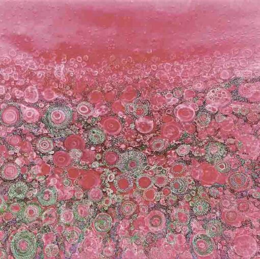 Coral Magenta - Image 4