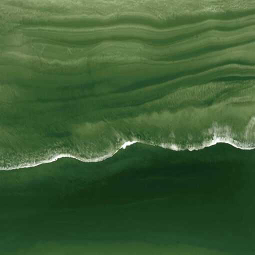 Tranquil - Image 2