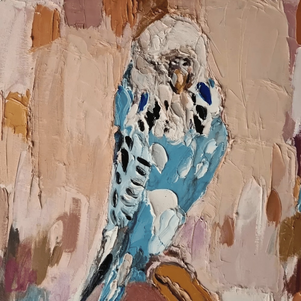 Blue Budgie - Mia Oatley