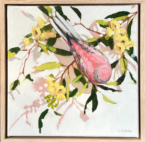 Cream Gum Blossom With Pink Parakeet - Kirsty McIntyre - Image 2