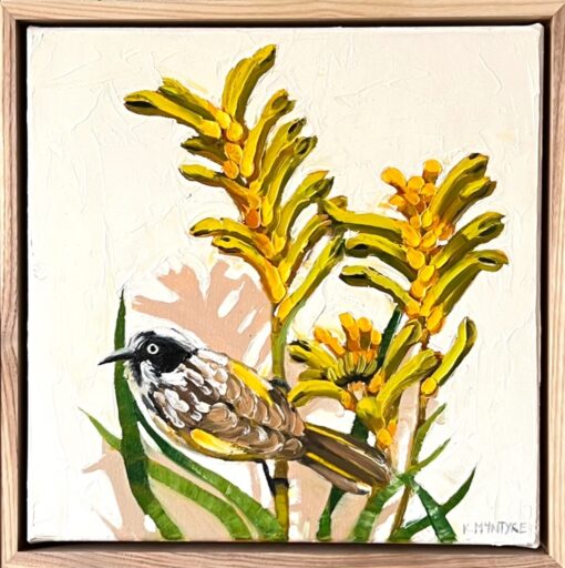 Kangaroo Paw With New Holland Honeyeater - Kirsty McIntyre - Image 2
