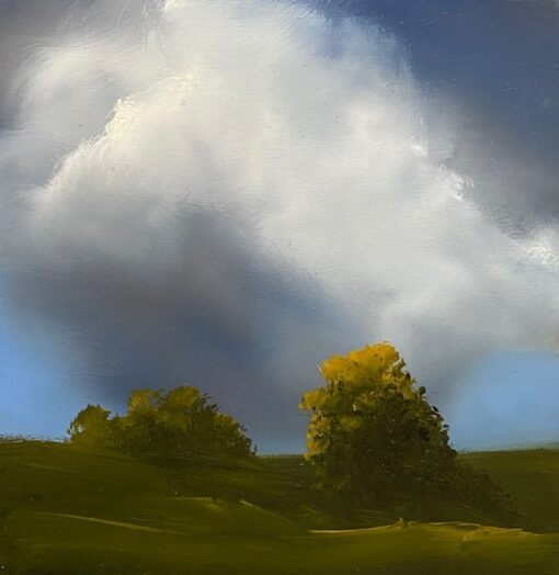 A Tassie Morning - Elaine Green