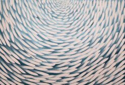 Salmon Minnow II - Arja Valimaki