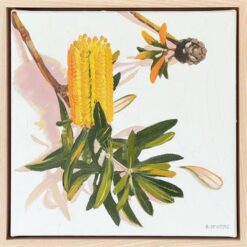 Coastal banksia with seed pod - Kirsty McIntyre
