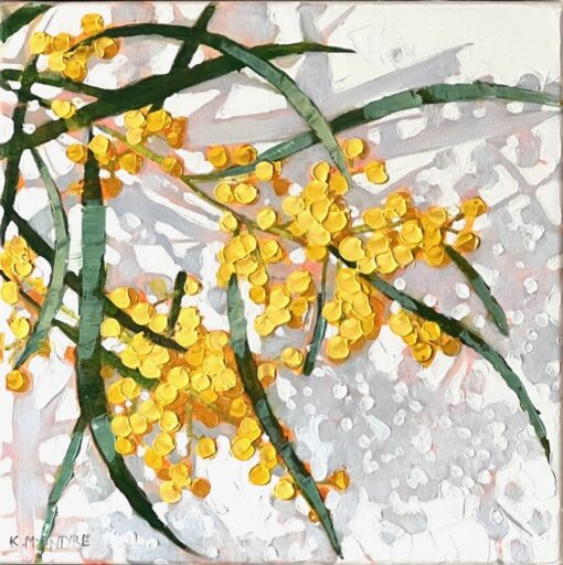 Dappled Wattle - Kirsty McIntyre