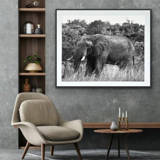 Ellie In The Grass - Kristina Martin - Image 2