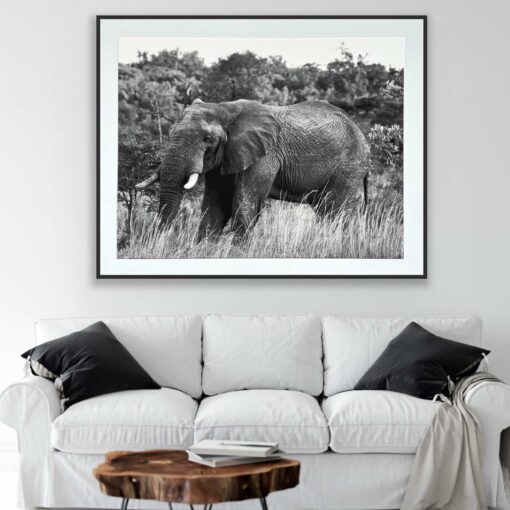 Ellie In The Grass - Kristina Martin