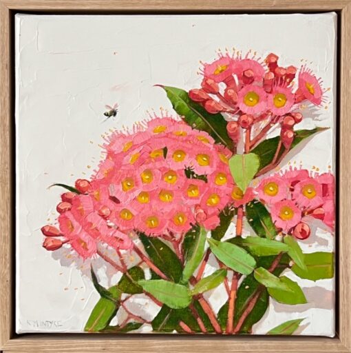 Ficifolia Floribunda - Kirsty McIntyre