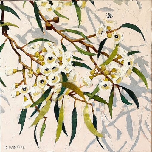 Dappled Gum Blossom - Kirsty McIntyre
