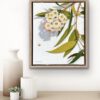 Gum blossom in cream and white - Kirsty McIntyre