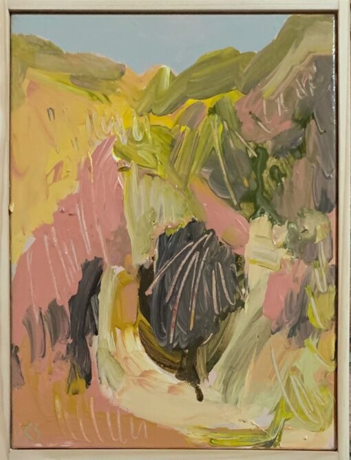 Pink Hills - Charles Smith