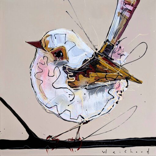 Jenny Wren 4  - Aidan Weichard