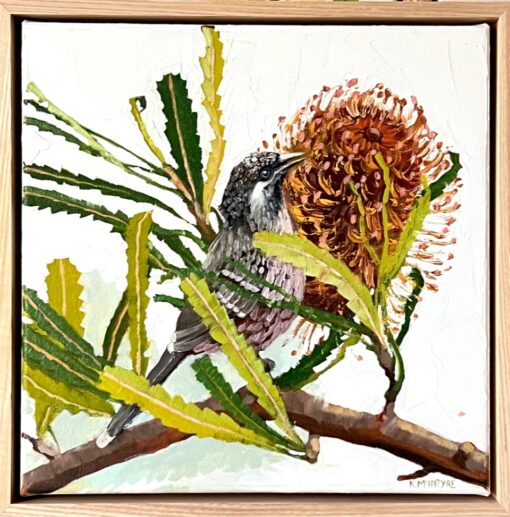 Little Wattle Bird With Banksia - Kirsty McIntyre