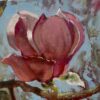 Magnolia - Susan Cowley-Carrasco
