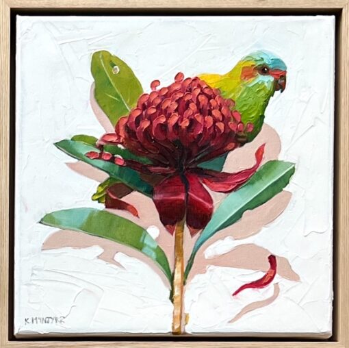 Musk Lorikeet With Waratah - Kirsty McIntyre
