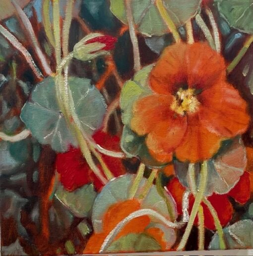 Nasturtiums - Susan Cowley-Carrasco