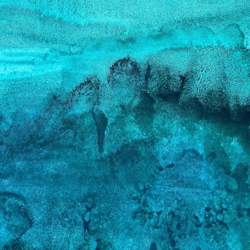 Ocean Swim - Martine Vanderspuy - Image 3