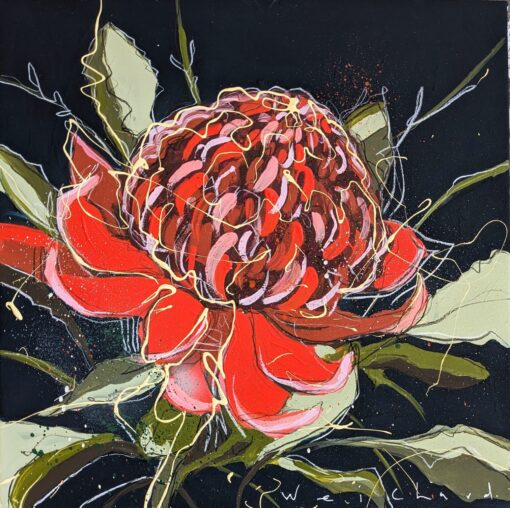 Wild Heart Waratah # 5 - Aidan Weichard