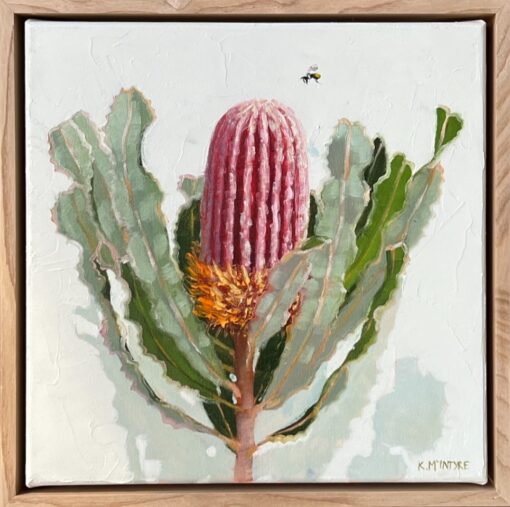 Raspberry Banksia - Kirsty McIntyre